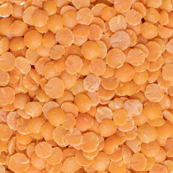 ORGANIC SWEETCORN, LEEK, CANNELLINI BEAN GRATIN