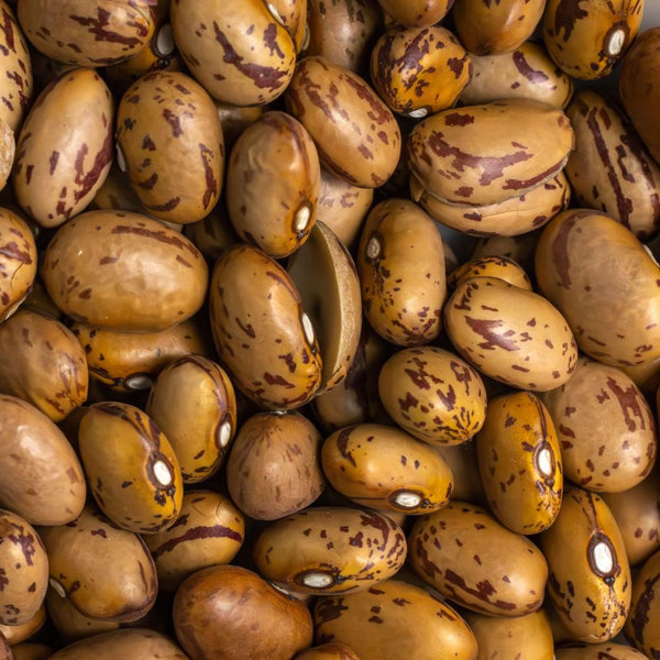 ORGANIC TUSCAN BEAN STEW